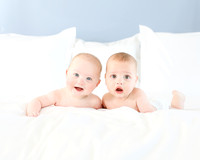 wade and wyatt 2025